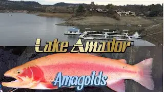 Episode 42: Lake Amador Lightning Trout