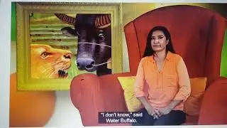 How tiger got his stripes ( Natgeo - explore our world 5)