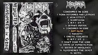 Neuntoter - Consumed In Gore MC FULL DEMO (1991 - Goregrind / Death Metal / Grindcore)