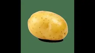 Potato.