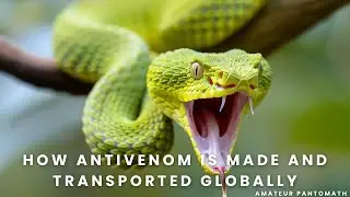 How Anti-Venom is made and globally transported | Science | #youtube #facts #documentary #trending