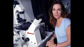 Scientist Stories: Magdalena Zernicka-Goetz, Human Development and Synthetic Embryos