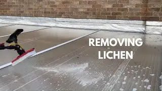 Removing Lichen