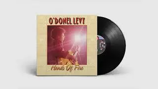 O'Donel Levy - Bad, Bad, Simba