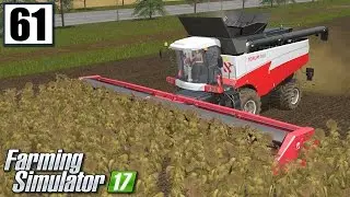 Słonecznik i kiszonka - Farming Simulator 17 (#61) | gameplay pl