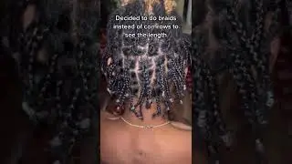 Growing my hightop with braids