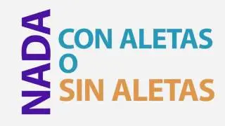 Cruce Teques 2016 !!!