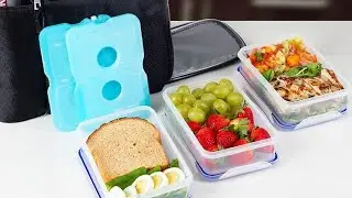 6 Best Insulated Lunch Box Reviews [Update 2021]