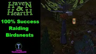 Have 100% Success raiding Nests AND catch the Bird!! in Haven& Hearth