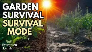 This Simple System Keeps Your Garden Alive Through Extreme Heat & Drought