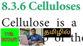 11th biology | biomolecules (part 17) CELLULOSE | செல்லுலோஸ் | உயிரி மூலக்கூறுகள்  | DURAI | nellai