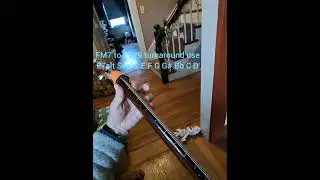 Dorian minor and Altered Dominant #jazz #chordstutorial #guitar #raybanmeta