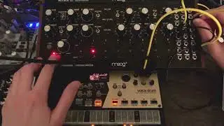 Day43:Moog DFAM & Korg volca drum / Synth jam session