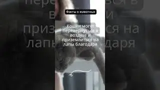 Факты о животных#1 Еще больше фактов в нашем тг канале, ссылка в закрепленном комментарии