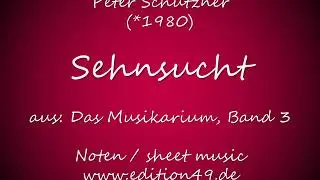 Peter Sch&uuml;tzner - Sehnsucht