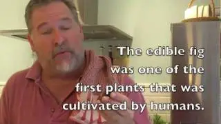 Figs - Marc's Culinary Compass Episode 42