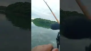 Última pescaria do ano . testando ferramenta nova carretilha lince @kawanafishing