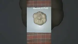 Momos Ki Potli #shortsfeed #shorts #momos #viralvideo #ganeshchaturthi
