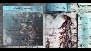 Shird Leopart : Counterfall [album 2021]