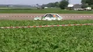 Exotic Green Rally 2010
