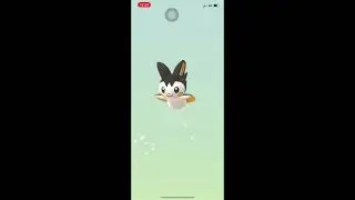 Hatch 10km-egg: Emolga(#587) | Pok&eacute;mon Go