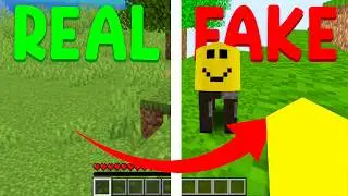 FAKE MINECRAFT VS REAL MINECRAFT