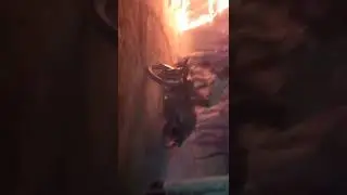 Muharram mela paina choysha madhepura jabardast khel
