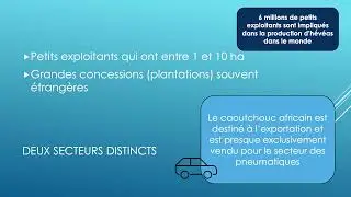 For&ecirc;ts: R&eacute;alit&eacute;s Africaines, Episode 5: h&eacute;v&eacute;as et caoutchouc