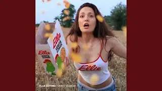 Vetri