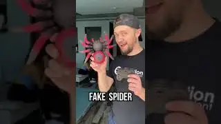 Remote SPIDER Prank!! 🕷🤣 #shorts