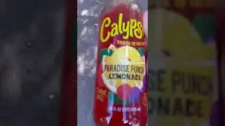 Bouncy Paradise Punch