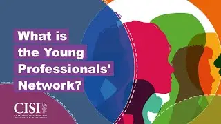 What is the Young Professionals' Network?
