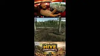 FDR Forestry Grind 🌲 Heavy Equipment in Action | FS25 LIVE