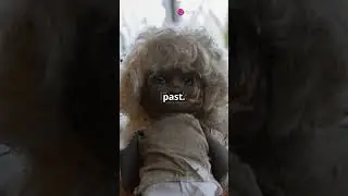 The Found Doll  A Chilling Discovery part1 wait for part 2 #scarycontent #usercreepy