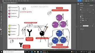 Pharmacology (1) - Chapter (7) Revision - Aladdin Abudraia