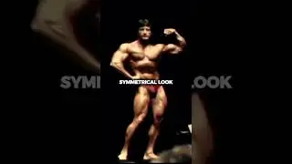 Frank Zane on Heavy Weights #arnoldschwarzenegger #bodybuilding #frankzane