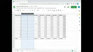 How to insert multiple columns in Google Sheets