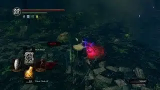 DARK SOULS&trade;: REMASTERED point down while killing the invader