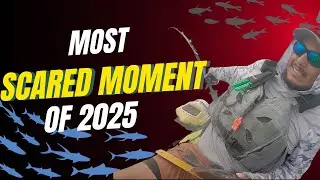 Solo kayak trip - my most scared moment from 2025