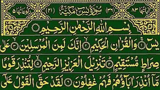Surah Yaseen Surah Ar Rahman Best Qur'an Recitation || yaseen surah ki full tilawat || yaseen sharif