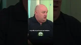 Kako zaraditi 15.000 evra