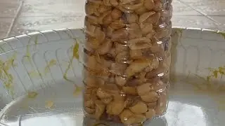 How to fry groundnut with garri,frying groundnut without sand#groundnut#garri#fry @TeeooTycoon