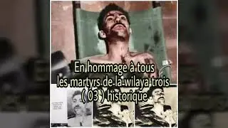 Hommage aux martyrs de la wilaya 3 historique