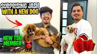 SURPRISING JASH WITH A NEW DOG 🥺| New Member in the House | Crying Reaction - Two side Gamers