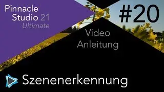 Szenenerkennung in Pinnacle Studio 21 Video Tutorial Deutsch #20