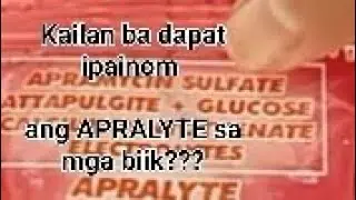 Kailan dapat ipainom ang APRALYTE sa ating mga biik? / BackyardFarmer-Farmerslife