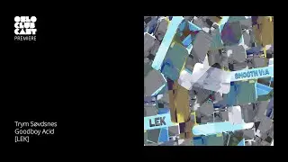 Trym S&oslash;vdsnes - Goodboy Acid - LEK [OCC PREMIERE]