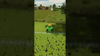 Spraying herbicide on the barley field | Survival Challenge Szpakowo | Farming Simulator 25