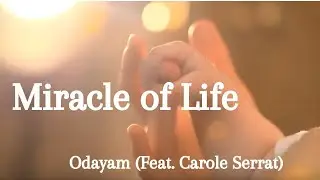 Miracle of Life - Odayam (featuring Carole Serrat )