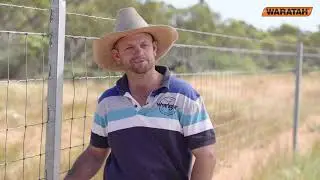 Grazing & lambing benefits from Waratah feral fencing